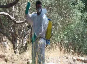 καταπολέμηση του δάκου στη Σάμο